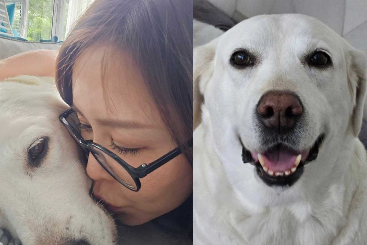 출처 : 채리나 SNS