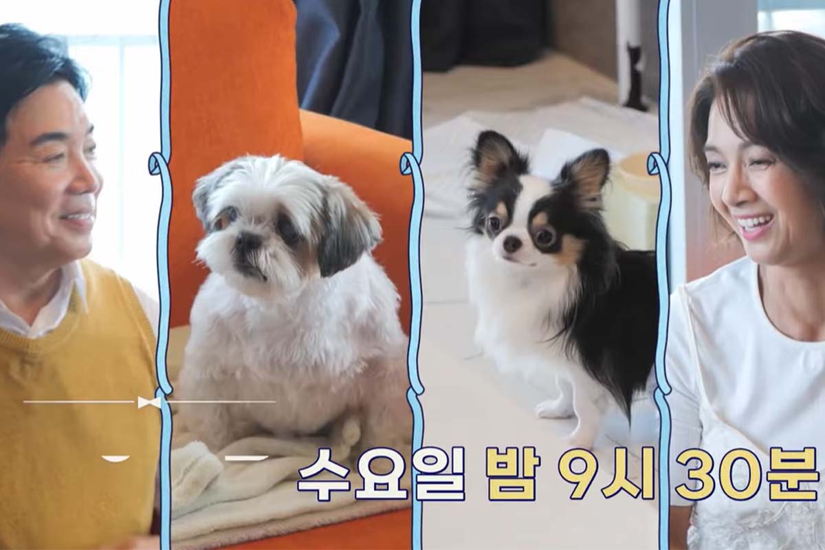 출처: 채널A ‘요즘 남자 라이프-신랑수업’