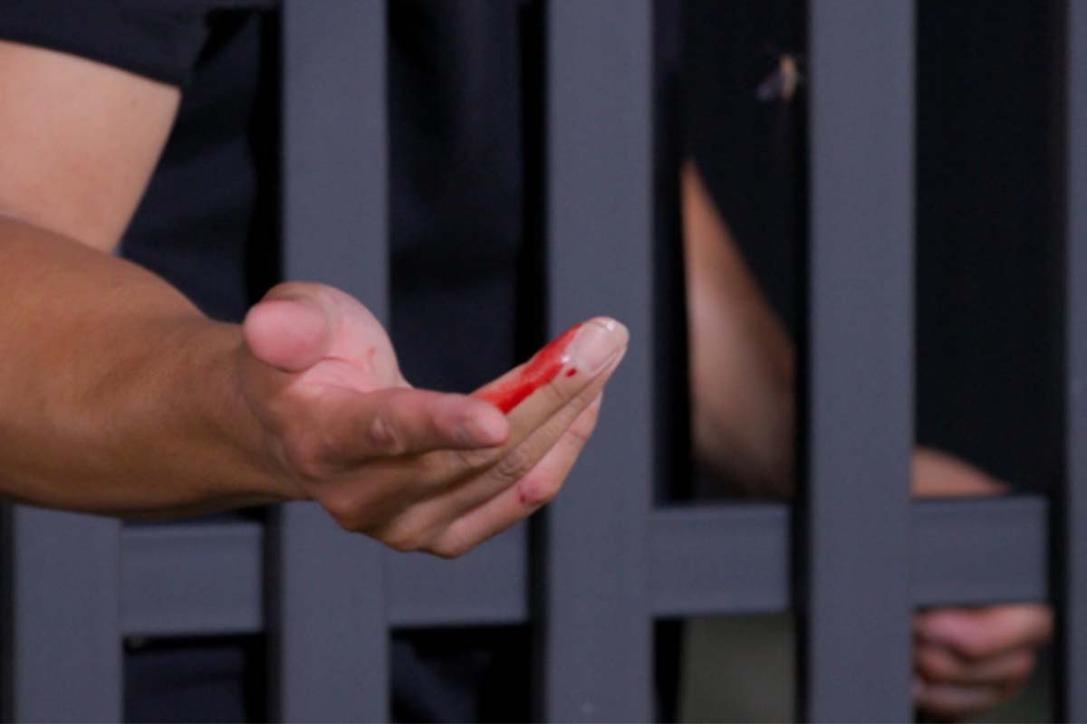 출처: 채널A ‘개와 늑대의 시간’