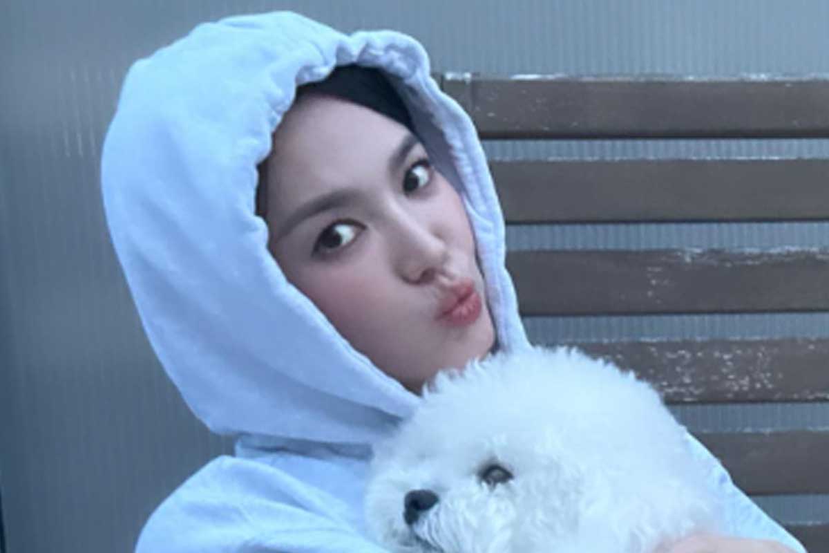 출처 : 송혜교 SNS