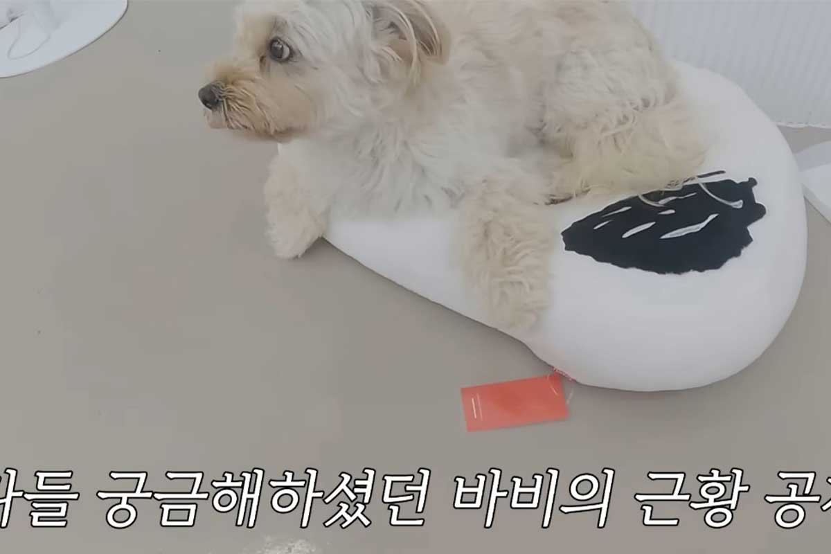 출처 : 유튜브 채널 '이국주'