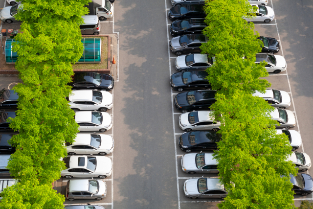 기사 내용과 무관한 이미지.이미지투데이