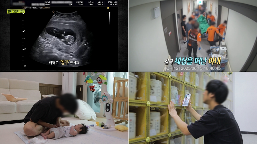 사진: SBS 제공