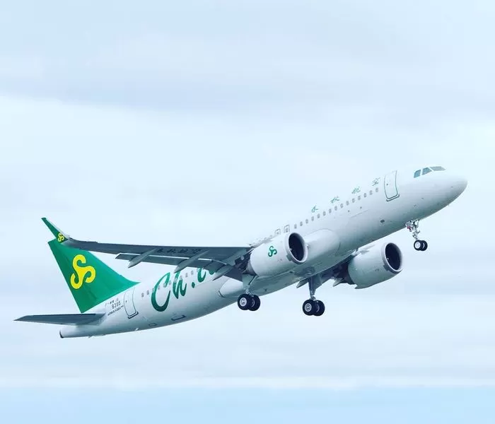 引用：スプリング・ジャパンのInstagram