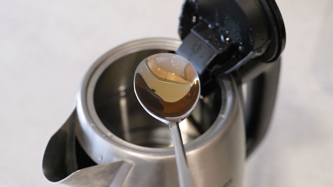 초파리 없애는 법