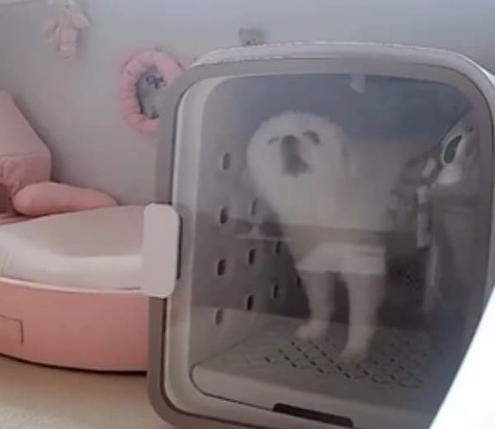 애니멀플래닛