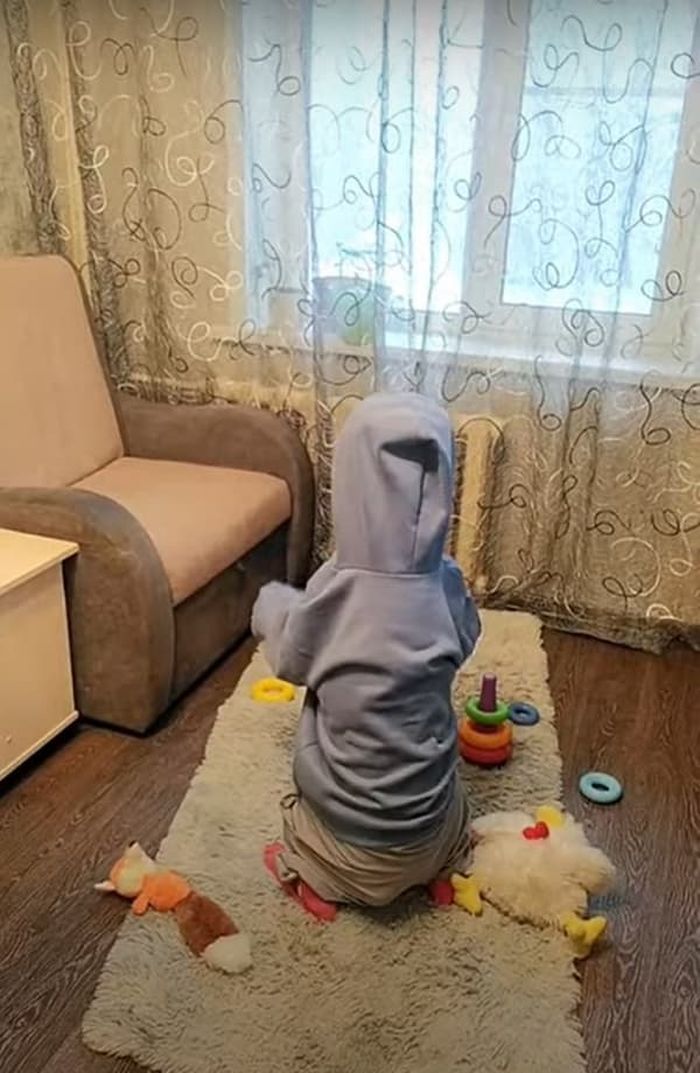 애니멀플래닛
