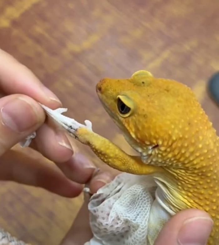 引用:周周探索
