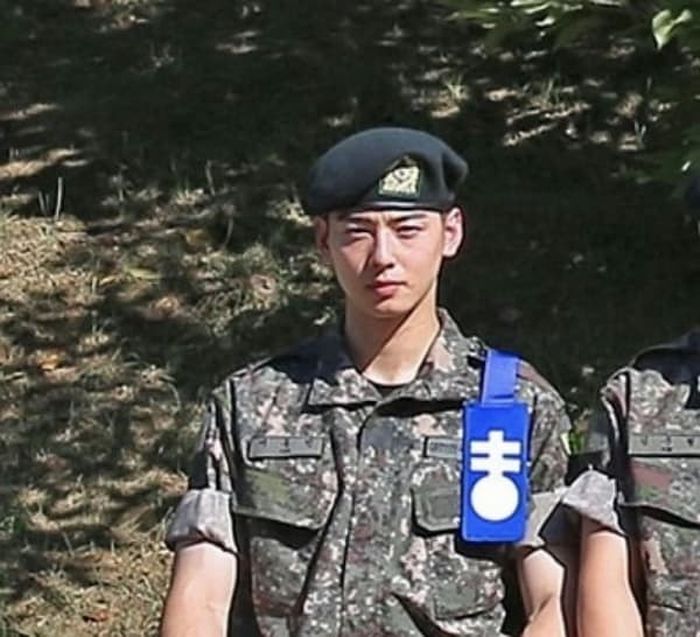 애니멀플래닛