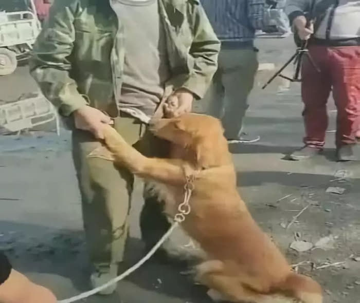 애니멀플래닛