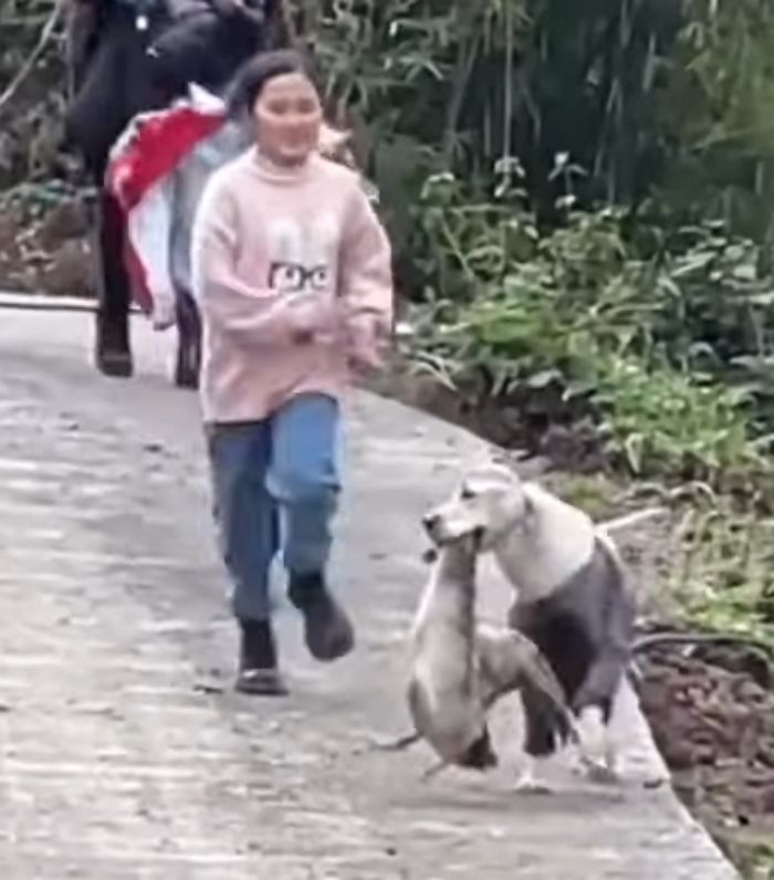 애니멀플래닛