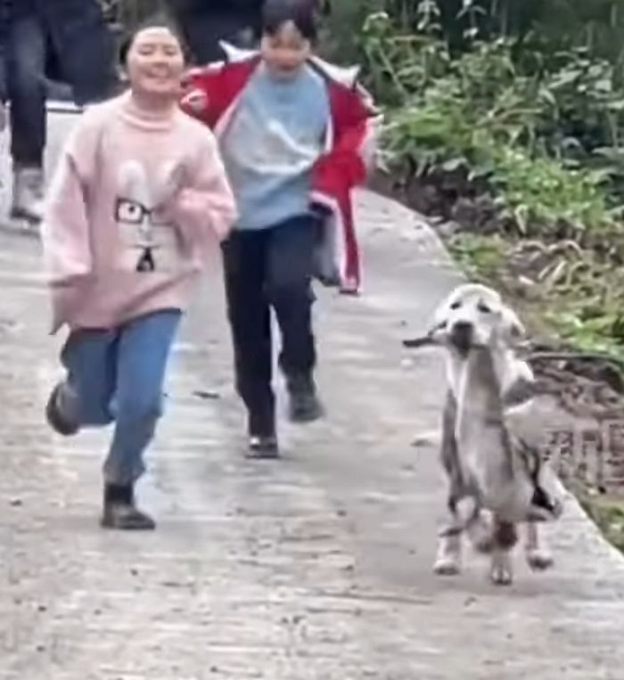 애니멀플래닛