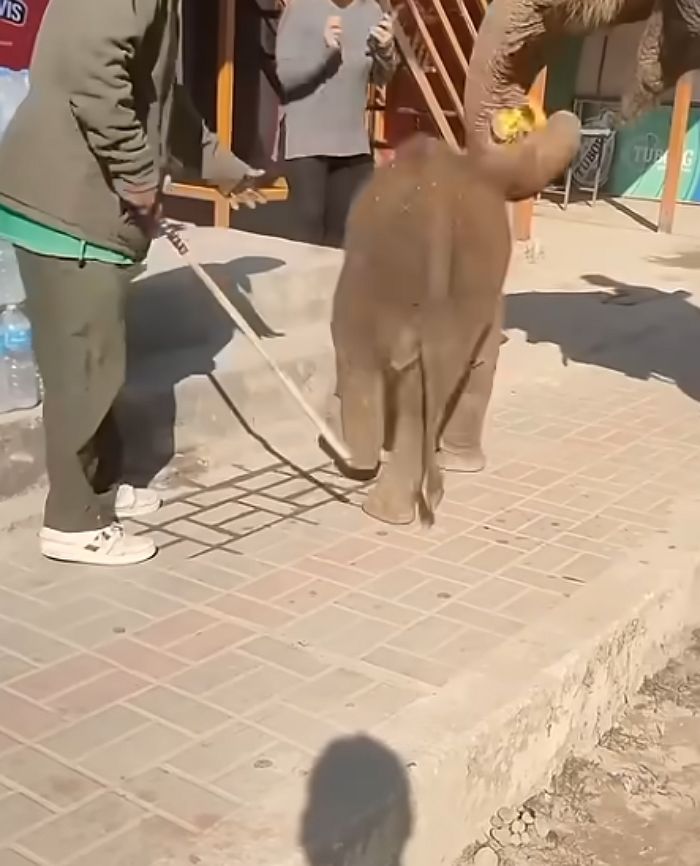애니멀플래닛