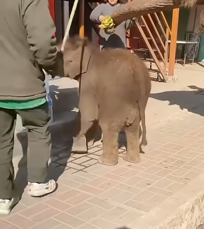 애니멀플래닛