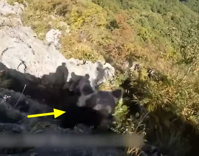 애니멀플래닛