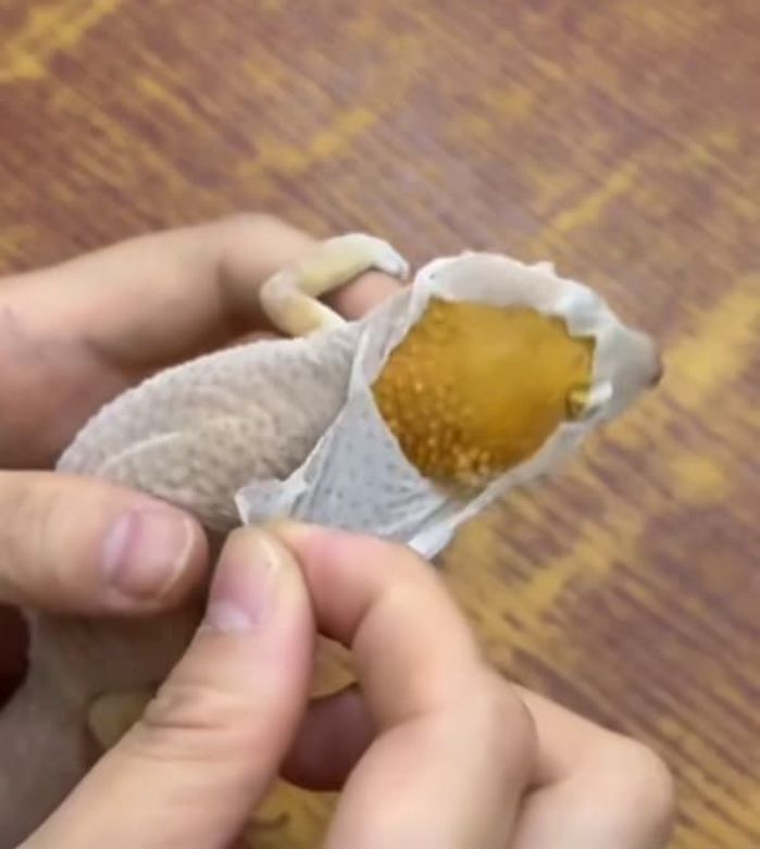 引用:周周探索