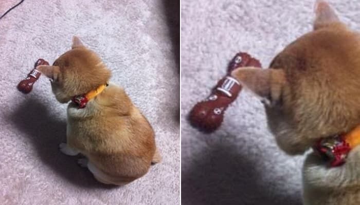 引用:ネット掲示板