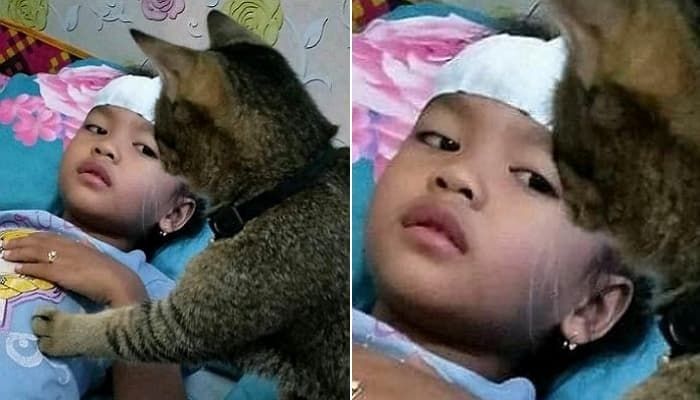 애니멀플래닛