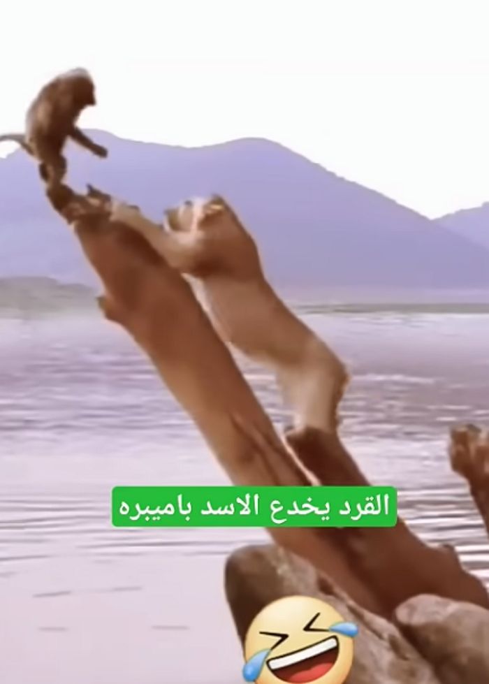 애니멀플래닛