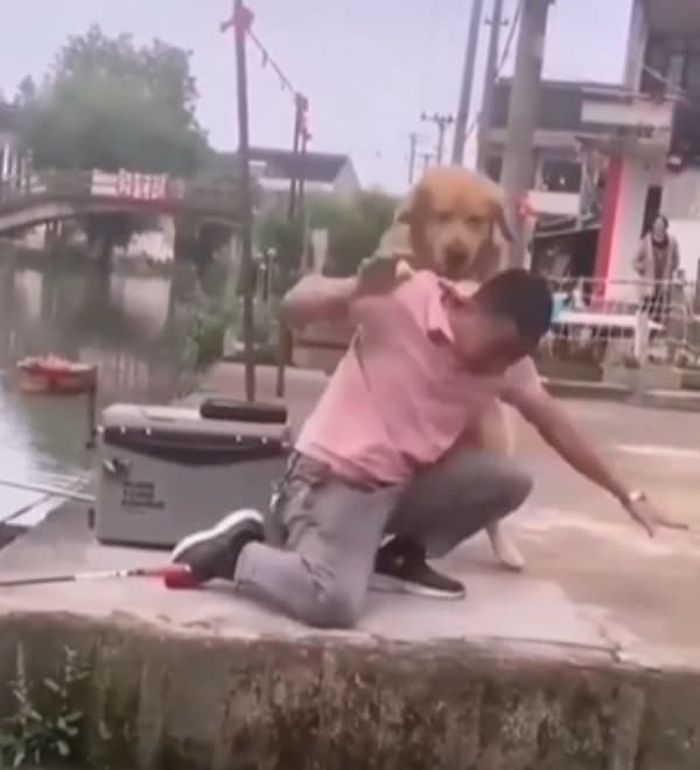 引用:reddit
