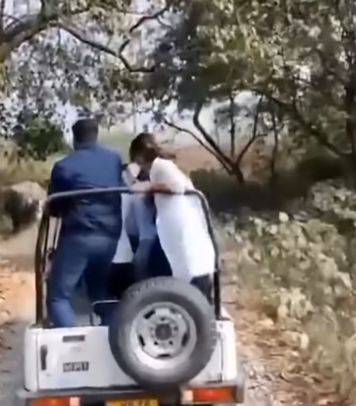 애니멀플래닛