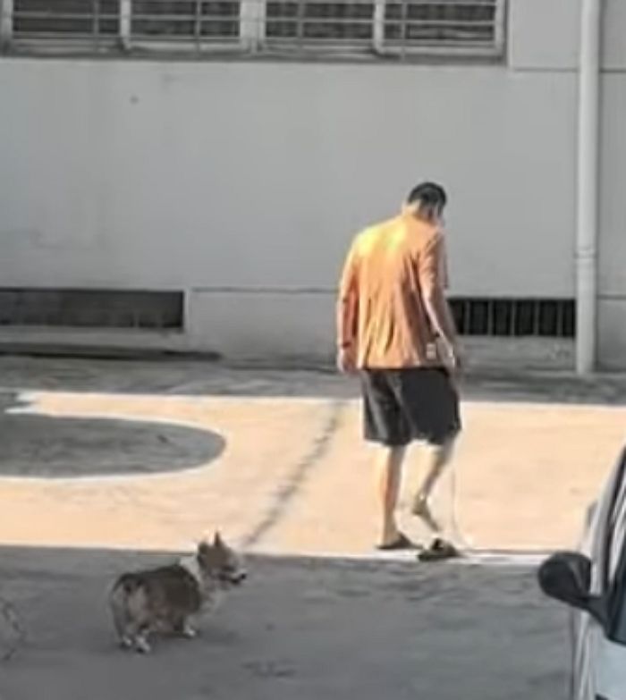 애니멀플래닛