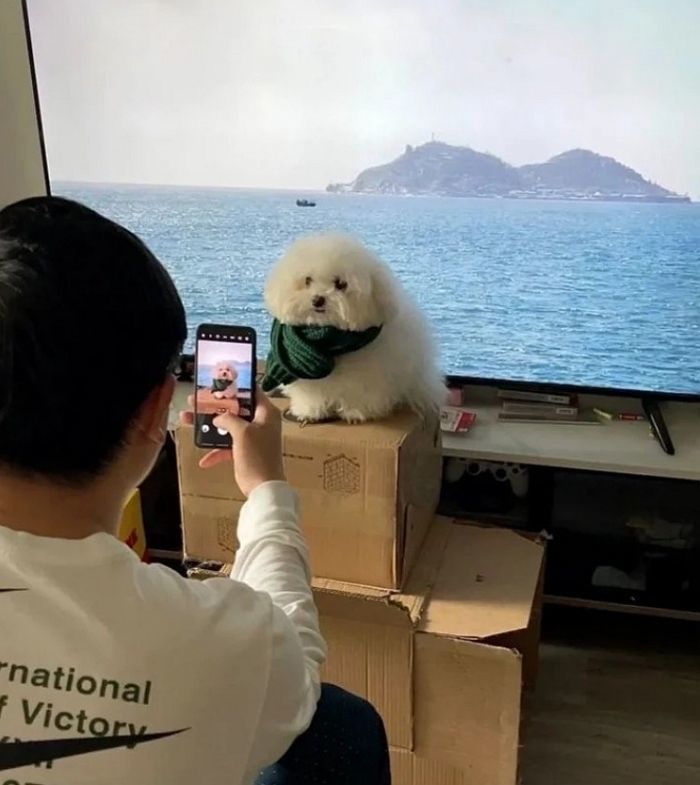 애니멀플래닛