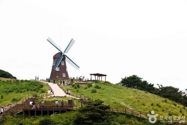바람의언덕 (ⓒ한국관광공사 포토코리아)