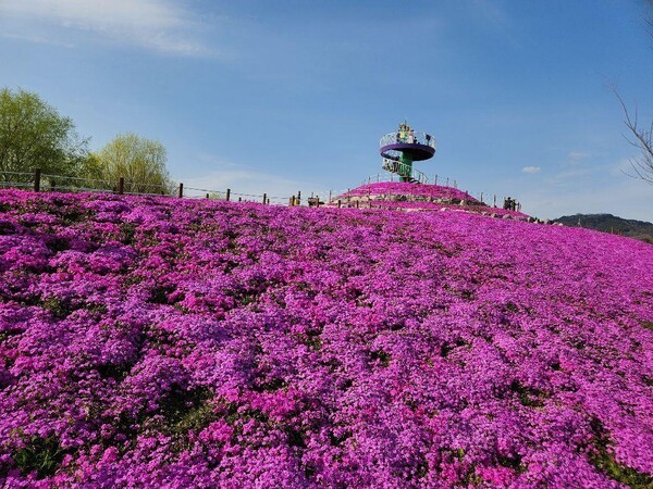 창포원 (ⓒ한국관광공사 대한민국 구석구석)