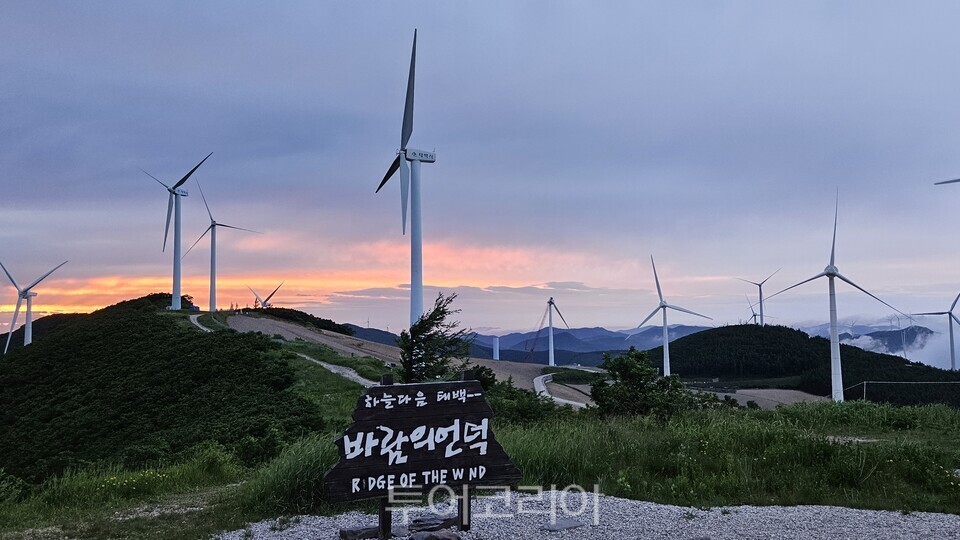 바람의 언덕