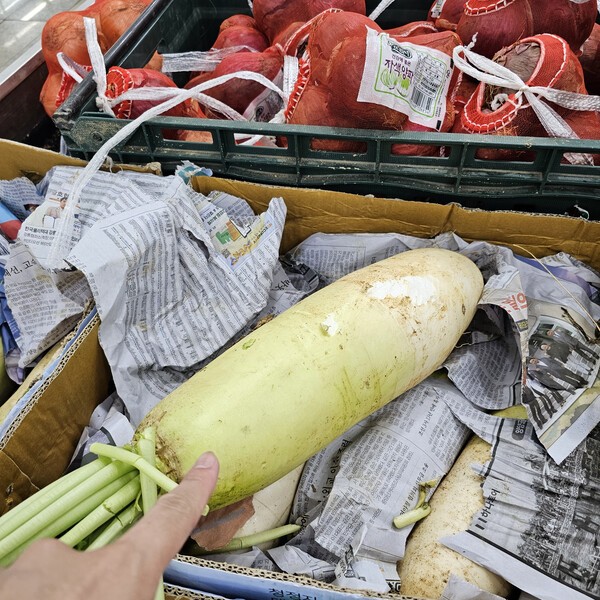 건강의 모든 것