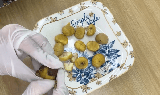 Susan Tips