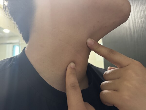 건강의 모든 것
