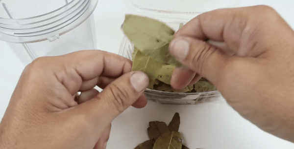 Loucos das Plantas