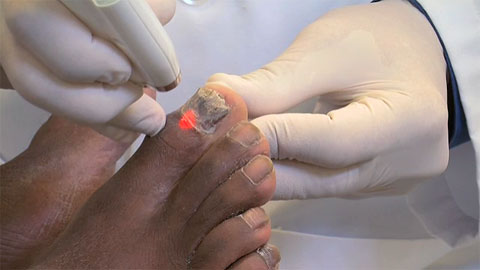 palaceclinic