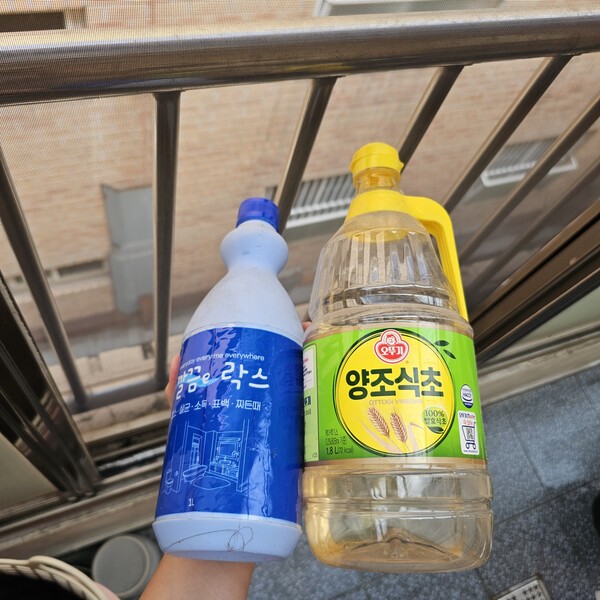 건강의 모든 것