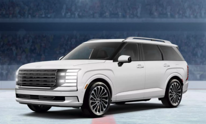 펠리세이드 한정판 모델 NHL 에디션 공개 500대 한정 차별화된점은?