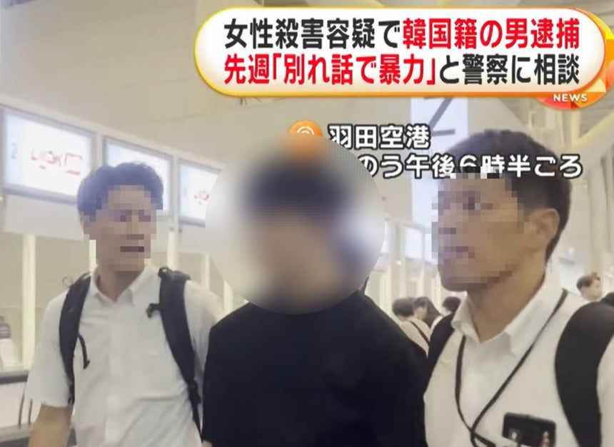 引用:FNN