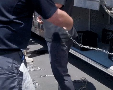 引用:米移民・関税執行局(ICE)のホームページ