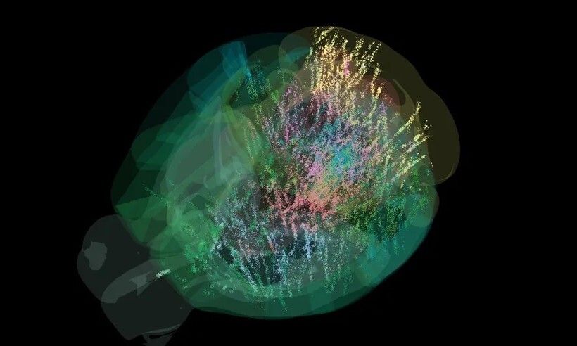 引用:International Brain Laboratory