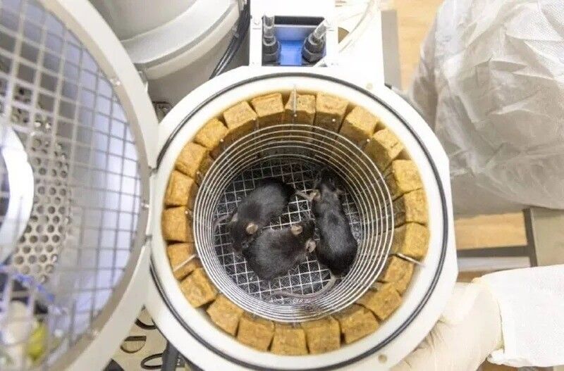 引用：ロスコスモス