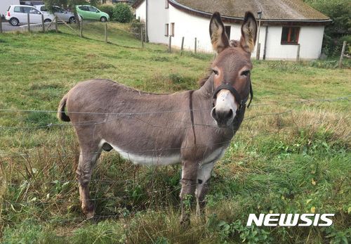 引用：Newsis