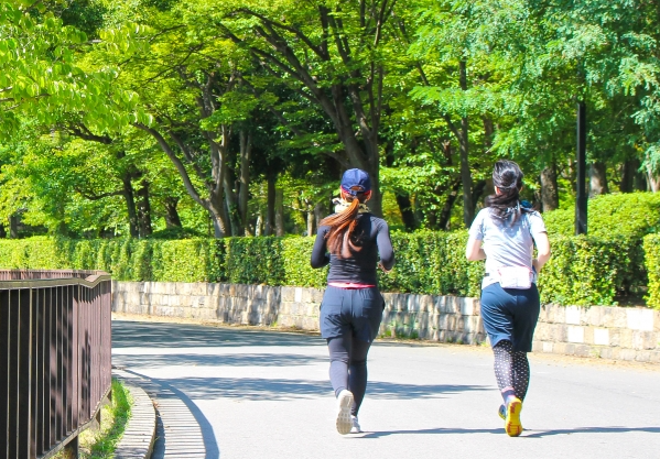 온라인 커뮤니티