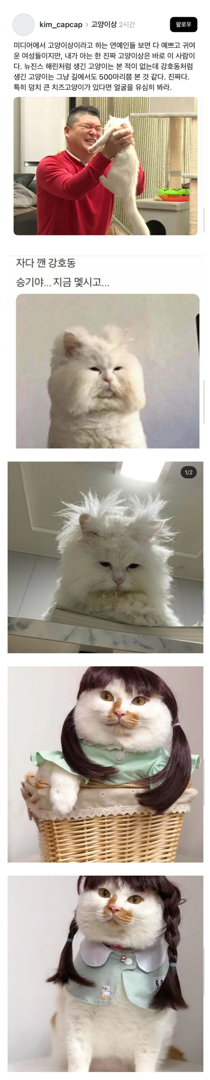 btbcbcece372054d626c0649577aab90ae