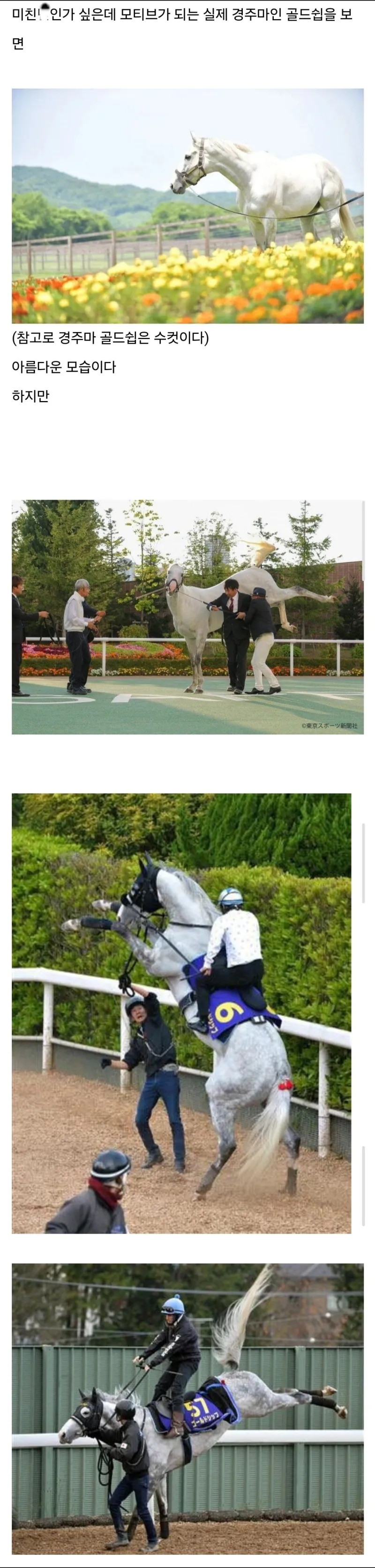 btd11e1542fb8816d7fbf7923371b97c11