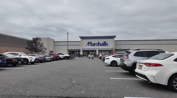 引用:ニューシス