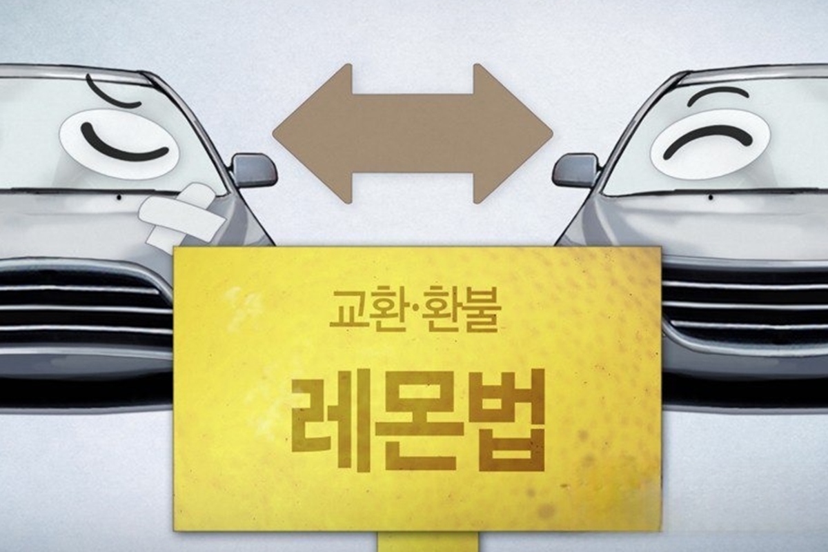 [이미지 : 연합뉴스]