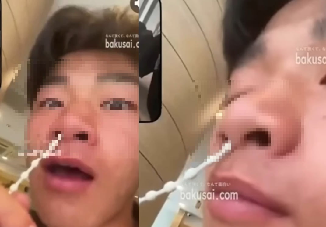 引用:X