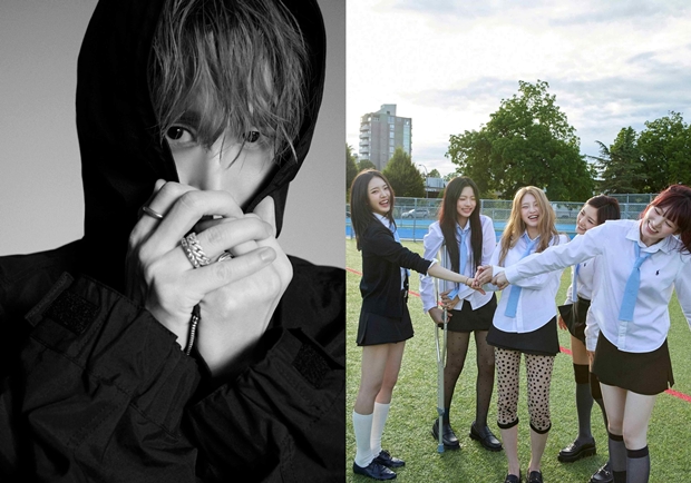 티브이데일리 포토