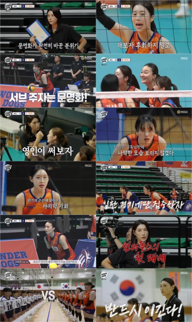 티브이데일리 포토